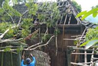 Rumah seorang janda miskin di Pacitan, Jawa Timur tertimpa Pohon. (Dok. Fin)
