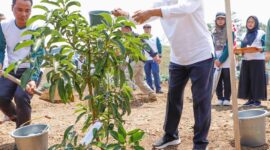 Gubernur Jatim Khofifah Indar Prawansa melakukan penanaman pohon alpukat buaya di lahan produktif, Malang.