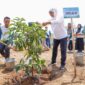 Gubernur Jatim Khofifah Indar Prawansa melakukan penanaman pohon alpukat buaya di lahan produktif, Malang.