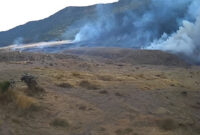 kebakaran hutan terjadi di alun-alun Surya Kencana Gunung Gede Jawa Barat.