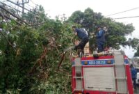 BPBD Kabupaten Pandeglang melakukan pembersihan material yang diakibatkan oleh peristiwa hujan yang disertai angin kencang di Kabupaten Pandeglang. (Dok. BPBD Kabupaten Pandeglang)
