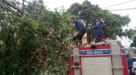 BPBD Kabupaten Pandeglang melakukan pembersihan material yang diakibatkan oleh peristiwa hujan yang disertai angin kencang di Kabupaten Pandeglang. (Dok. BPBD Kabupaten Pandeglang)
