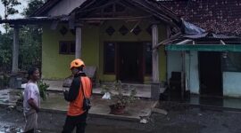 Tim gabungan dan relawan bekerja sama melakukan penanganan pohon tumbang terdampak angin kencang yang menerjang Desa Walidono, Kecamatan Prajekan, Kabupaten Bondowoso. (Dok. BPBD Kabupaten Bondowoso)