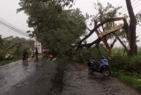 Sebuah kendaraan roda empat menjadi korban amukan cuaca ekstrim yang terjadi di Kabupaten Magetan, Jawa Timur. (Dok. Fin)
