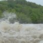 BPBD DKI Jakarta mengimbau warga untuk mewaspadai potensi banjir rob. (Pixabay.com/Hans)