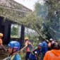 Pohon ukuran besar tumbang di Ponorogo, Jawa Timur. (Dok. Fin)
