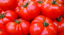 Tomat dikenal sebagai buah yang rendah kalori dan lemak serta kaya akan vitamin dan mineral. (Pixabay.com/@LoggaWiggler)