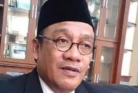 Hadi Prasetya, pengamat sosial - politik