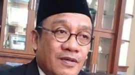 Hadi Prasetyo, pengamat sosial - politik