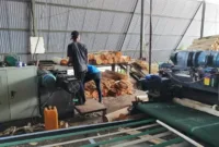 Aktivitas pegawai industri plywood.