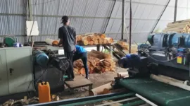 Aktivitas pegawai industri plywood.