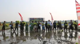 Kodim 0816 Sidoarjo melaksanakan kegiatan Penanaman padi dan bibit pohon di Desa Penambangan Kec. Balongbendo Kab. Sidoarjo, Kamis, (9/5).