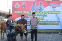 Kapolresta Sidoarjo Kombes. Pol. Christian Tobing ketika menyerahkan hewan kurban kepada masyarakat.
