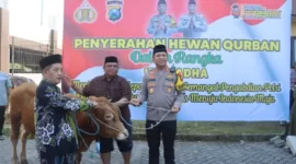 Kapolresta Sidoarjo Kombes. Pol. Christian Tobing ketika menyerahkan hewan kurban kepada masyarakat.