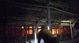 Salah satu warga melihat kejadian kandang ayam terbakar.