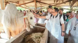 Pj Gubernur Jatim Adhy Karyono saat sidak hewan kurban di Lamongan, Jumat (7/6/2024)