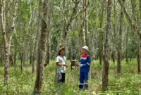 Program CSR PGN. (foto: dok. PGN)