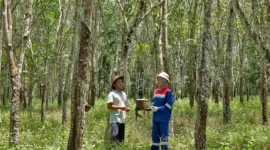 Program CSR PGN. (foto: dok. PGN)