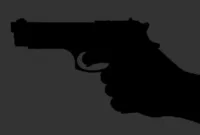 Ilustrasi menembak. (Pixabay.com/@Mohamed_hassan)