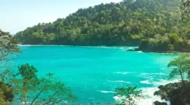 Teluk Hijau Banyuwangi.