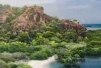 Taman Nasional Baluran, Situbondo, Jawa Timur.