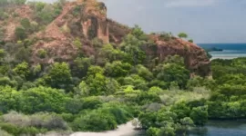 Taman Nasional Baluran, Situbondo, Jawa Timur.