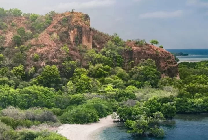Taman Nasional Baluran, Situbondo, Jawa Timur.
