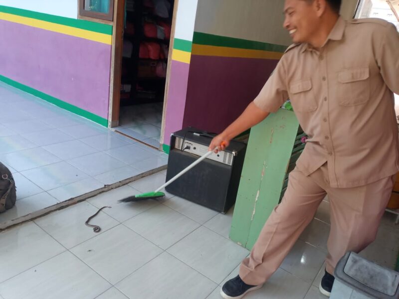 Sebuah kejadian tak terduga terjadi di TK Dharma Wanita Desa Duyung, Kecamatan Takeran, Magetan, pada Selasa (8/7/2025). 