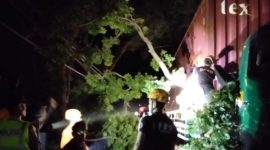 Tim BPBD Magetan saat evakuasi truk kontainer tertimpa pohon mahoni besar saat melintas di jalur Gorang Gareng – Maospati, tepatnya di Desa Belotan, Kecamatan Bendo, Magetan, Rabu malam (30/07/2025).