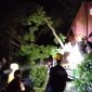 Tim BPBD Magetan saat evakuasi truk kontainer tertimpa pohon mahoni besar saat melintas di jalur Gorang Gareng – Maospati, tepatnya di Desa Belotan, Kecamatan Bendo, Magetan, Rabu malam (30/07/2025).