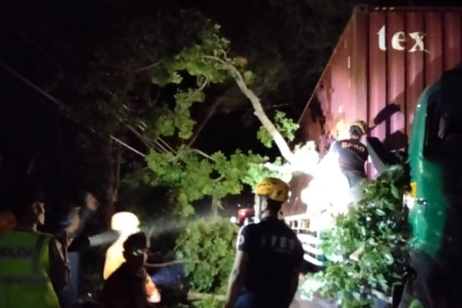 Tim BPBD Magetan saat evakuasi truk kontainer tertimpa pohon mahoni besar saat melintas di jalur Gorang Gareng – Maospati, tepatnya di Desa Belotan, Kecamatan Bendo, Magetan, Rabu malam (30/07/2025).