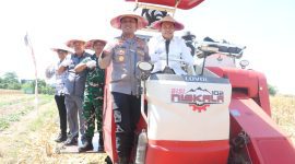 Dukung program swasembada pangan nasional, Kabupaten Sidoarjo turut melaksanakan panen raya jagung kuartal III yang digelar serentak, pada Sabtu (27/9/2025).