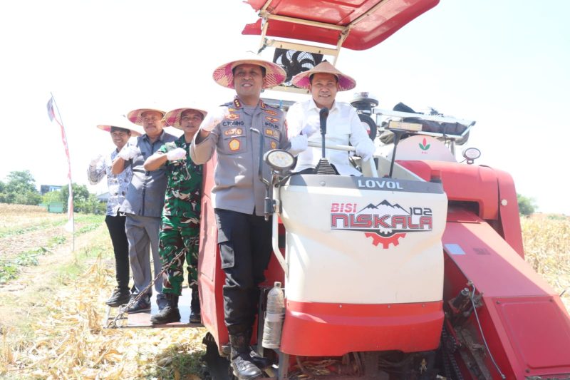 Dukung program swasembada pangan nasional, Kabupaten Sidoarjo turut melaksanakan panen raya jagung kuartal III yang digelar serentak, pada Sabtu (27/9/2025).