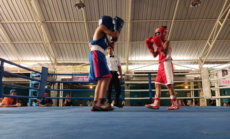 Pengurus Cabang (Pengcab) Persatuan Tinju Amatir Nasional (Pertina) Kabupaten Sidoarjo sukses menggelar Fun Fight Boxing, Minggu kemarin, (16/11).