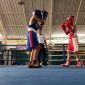 Pengurus Cabang (Pengcab) Persatuan Tinju Amatir Nasional (Pertina) Kabupaten Sidoarjo sukses menggelar Fun Fight Boxing, Minggu kemarin, (16/11).