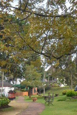 2.000 Pelari Taklukkan Lintasan 55 Km di Lelono by Mantra Batu