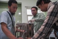 Dinas Pangan dan Pertanian (DPPP) Kabupaten Sidoarjo menggelar vaksinasi rabies gratis bagi hewan peliharaan di Klinik Hewan/Puskeswan, Jumat (18/9/2026).