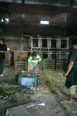 Viral Judi Sabung Ayam di Berbek Sidoarjo, Polsek Waru Tindaklanjuti Aduan Warga